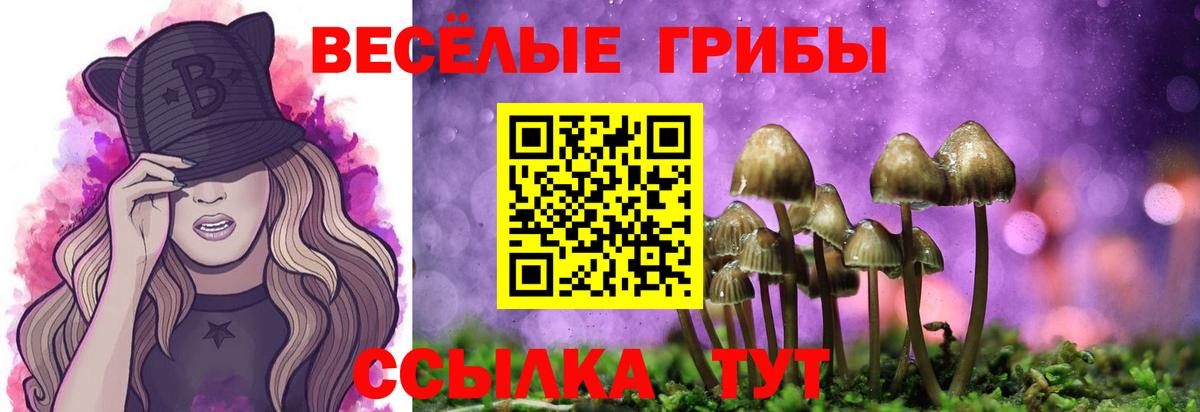 Псилоцибиновые грибы Psilocybe Кызыл